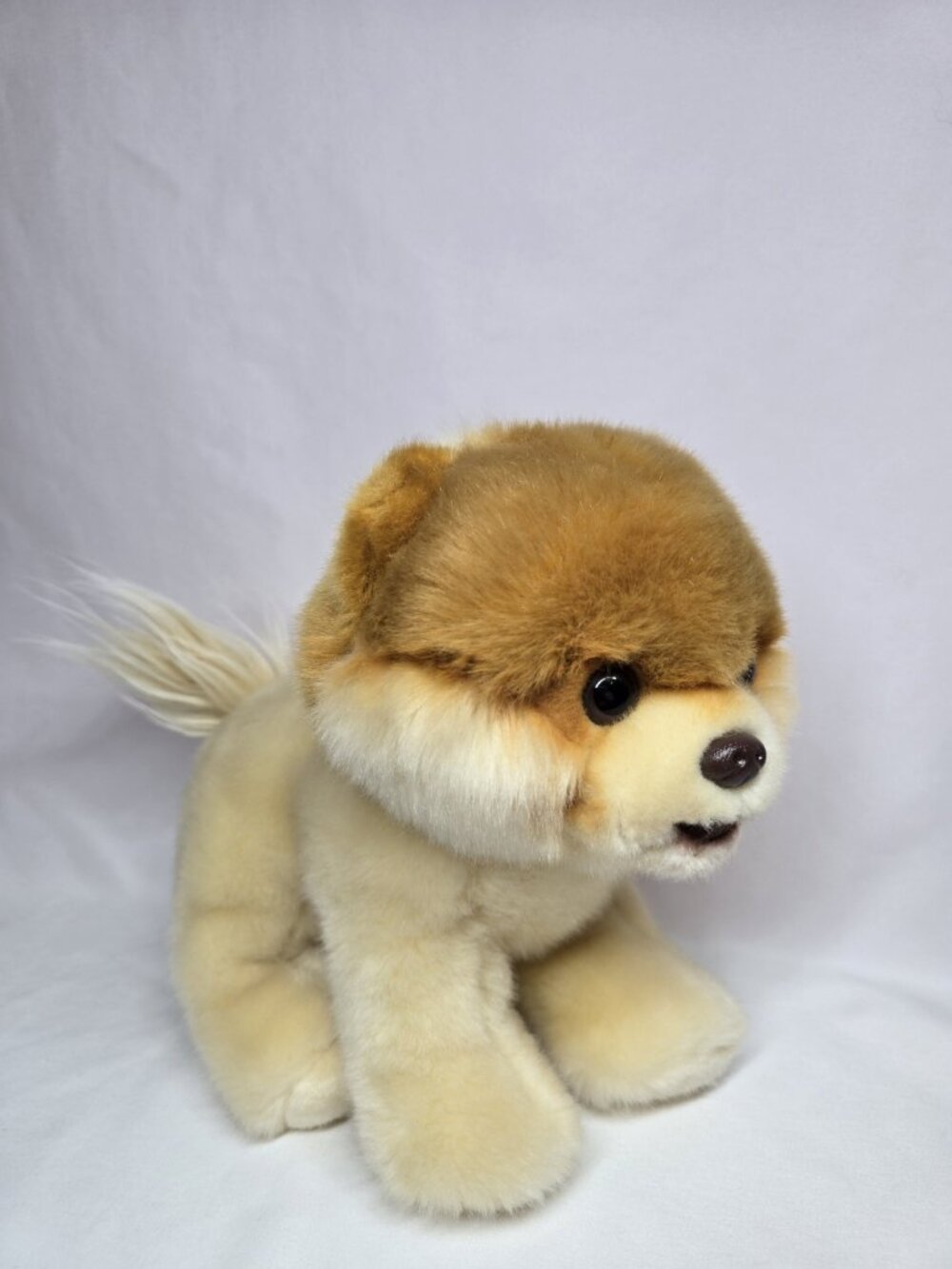 Gund Boo The Worlds Cutest Dog Pomeranian Plush Soft Stuffed Toy Animal